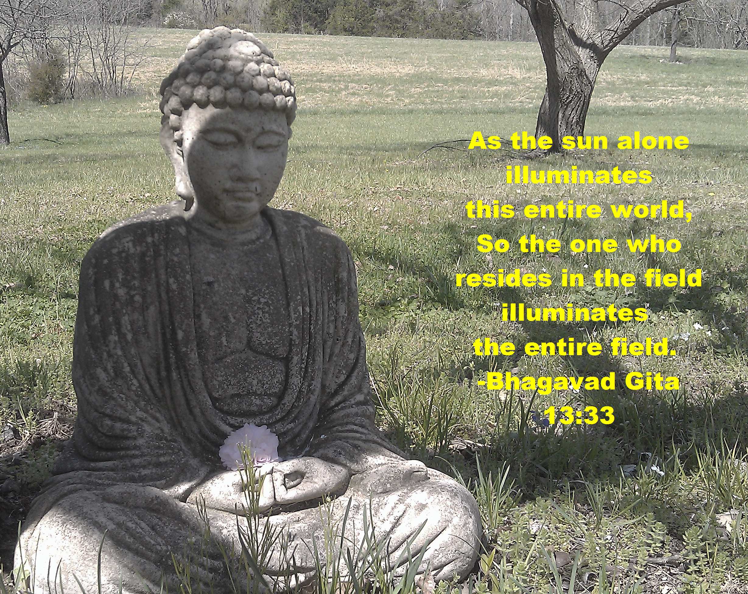 Buddha Gita Quote